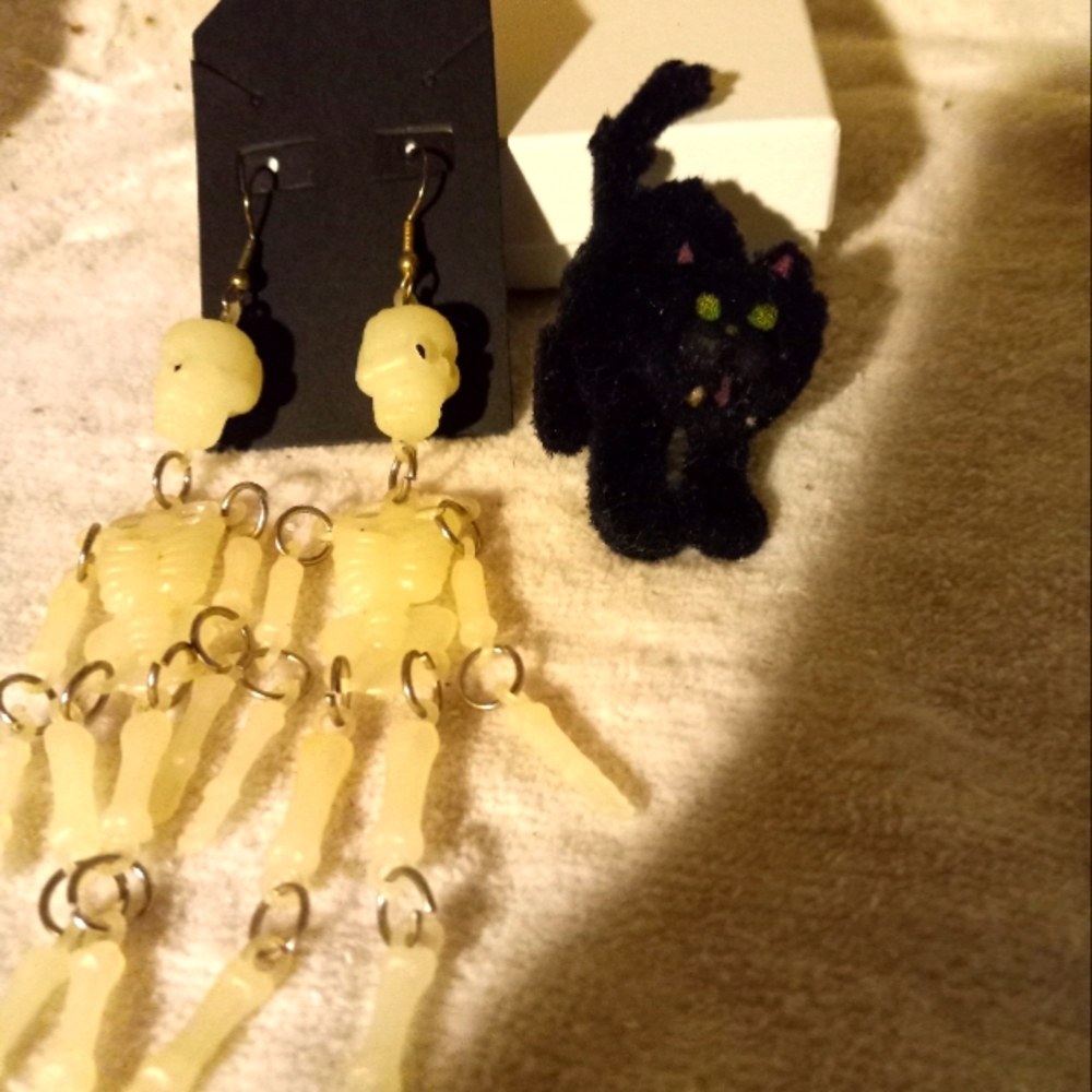 Used,not new plastic  5in. pierced  skeleton earrings & black  felted cat pin.